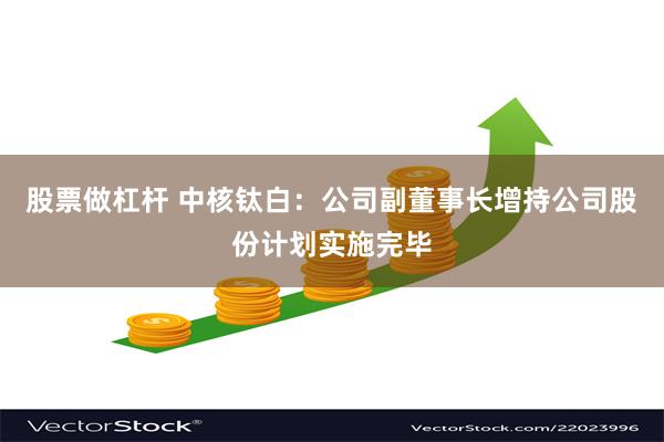 股票做杠杆 中核钛白：公司副董事长增持公司股份计划实施完毕