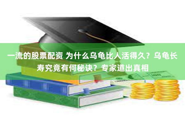 一流的股票配资 为什么乌龟比人活得久？乌龟长寿究竟有何秘诀？专家道出真相