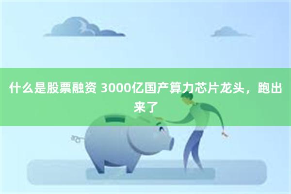 什么是股票融资 3000亿国产算力芯片龙头，跑出来了