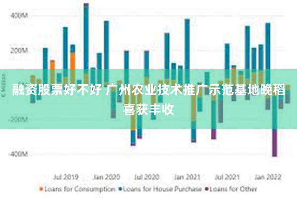 融资股票好不好 广州农业技术推广示范基地晚稻喜获丰收