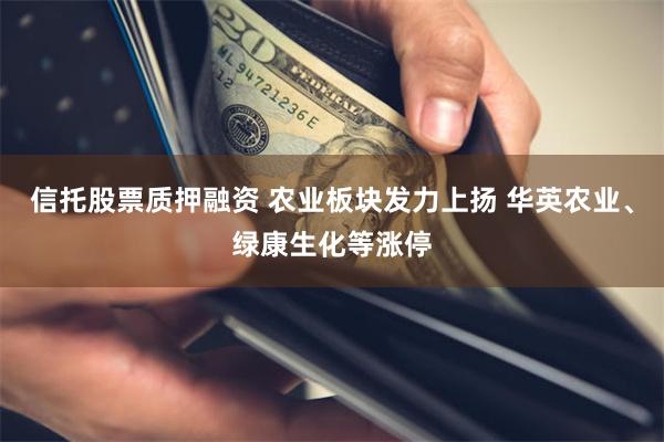 信托股票质押融资 农业板块发力上扬 华英农业、绿康生化等涨停