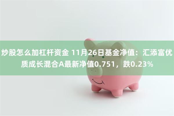 炒股怎么加杠杆资金 11月26日基金净值：汇添富优质成长混合A最新净值0.751，跌0.23%