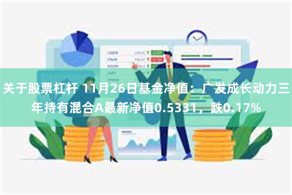 关于股票杠杆 11月26日基金净值：广发成长动力三年持有混合A最新净值0.5331，跌0.17%