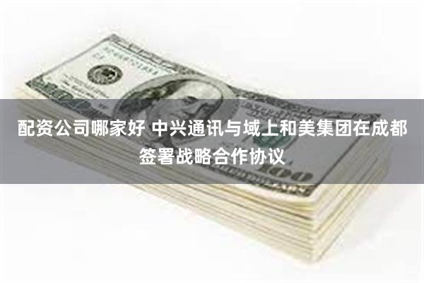 配资公司哪家好 中兴通讯与域上和美集团在成都签署战略合作协议