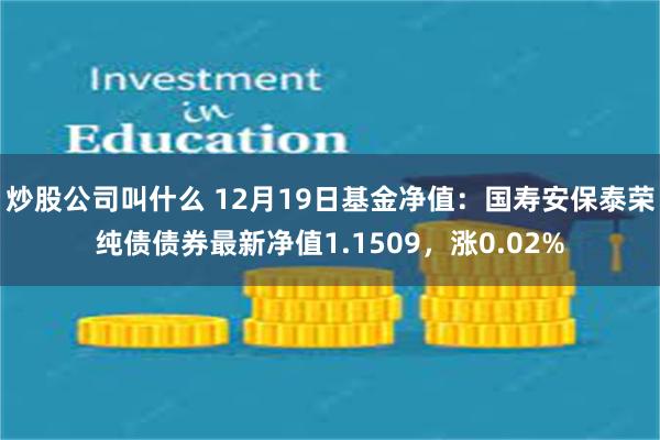 炒股公司叫什么 12月19日基金净值：国寿安保泰荣纯债债券最新净值1.1509，涨0.02%