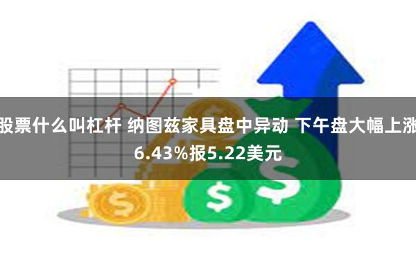 股票什么叫杠杆 纳图兹家具盘中异动 下午盘大幅上涨6.43%报5.22美元